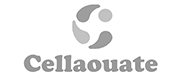 Cellaouate - Isolation en ouate de cellulose fabriquée à partir de papier journal - Ets Soulaine - Questembert - Bois et dérivés - Matériaux de construction